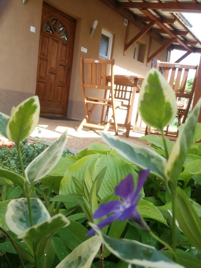 Apartament Agnes Vendeghaz Gyula Zewnętrze zdjęcie